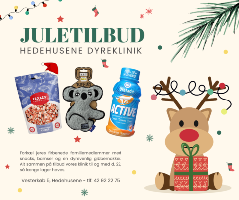 Juletilbud hos Hedehusene Dyreklinik