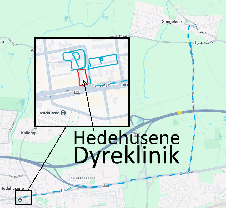 Det tager 15 minutter med bus fra Sengeløse til Hedehusene station. Derfra 2 minutters gang til vores klinik på Hovedgaden 512A i Hedehusene. Det tager ca. 10 minutter i bil fra Sengeløse og vi har gratis parkering foran og bagved vores klinik