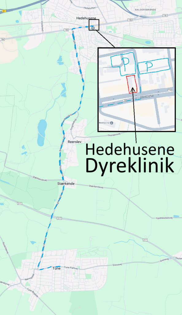 Det tager 25 minutter med tog fra Tune til Hedehusene station. Derfra 2 minutters gang til vores klinik på Hovedgaden 512A i Hedehusene. Det tager ca. 10 minutter i bil fra Tune og vi har gratis parkering foran og bagved vores klinik