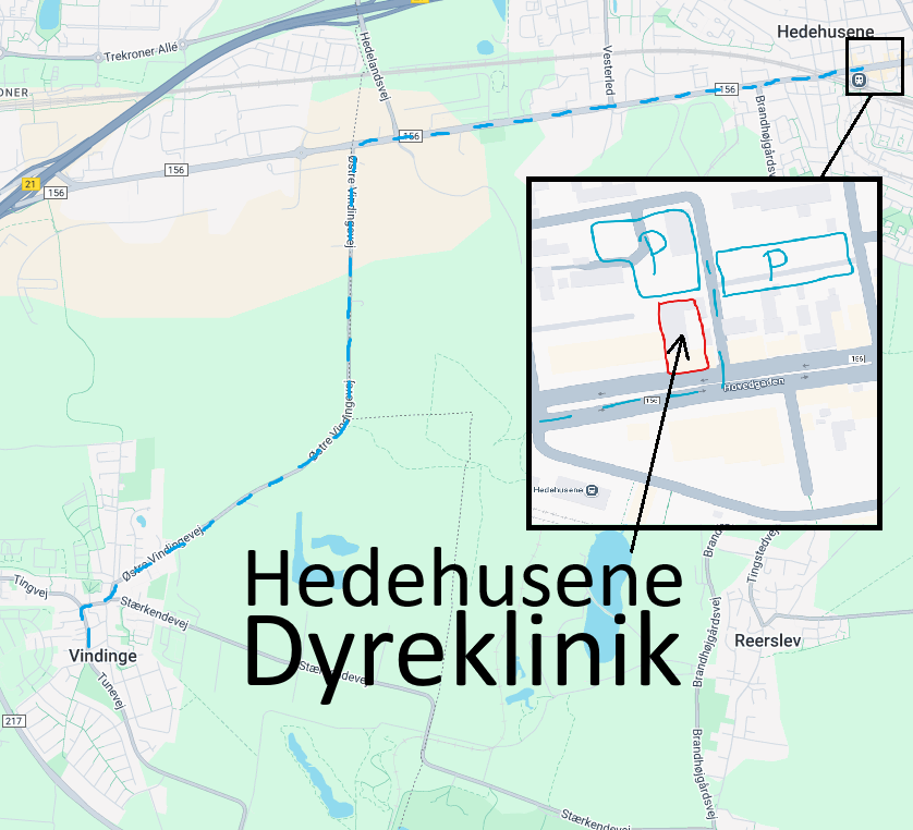 Vindinge til Hedehusene Dyreklinik Der er to stop med tog fra Roskilde station til Hedehusene station. Derfra 2 minutters gang til vores klinik på Hovedgaden 512A i Hedehusene. Det tager ca. 10 minutter i bil fra Vindinge og vi har gratis parkering foran og bagved vores klinik